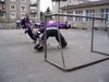 18.2.2007 - Trning v novch dresoch